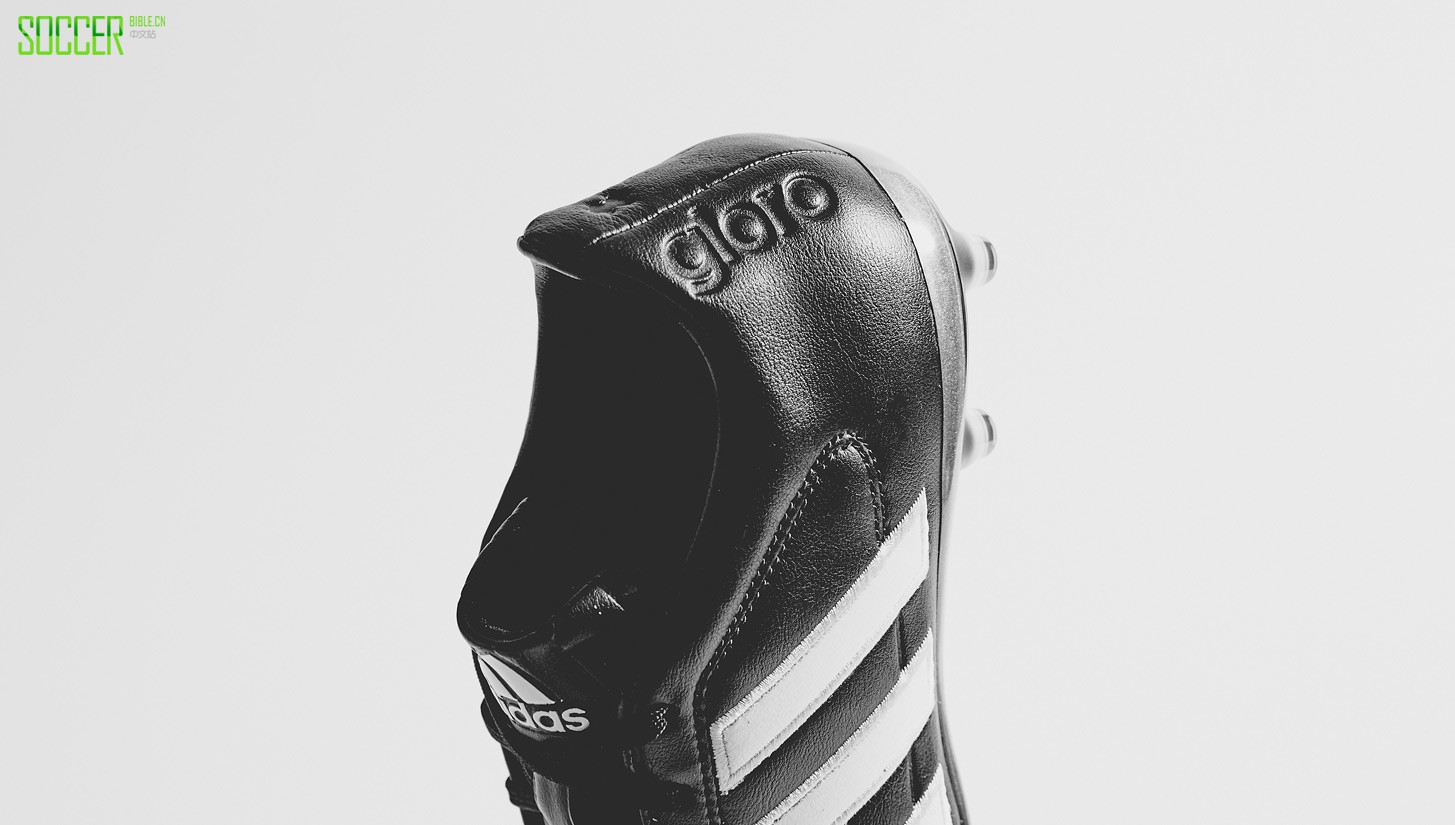 gloro-2-img29